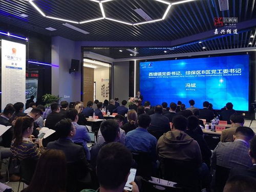 跨國(guó)合作再深化 中歐企業(yè)家齊聚嘉善西塘話(huà)發(fā)展